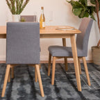 Orrin Mid-Century Fabric Dining Chair (Set of 2) by Christopher Knight Home