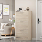 Modern Shoe Storage Cabinet for Entryway, 2 Tier Floor Shoes Cabinet