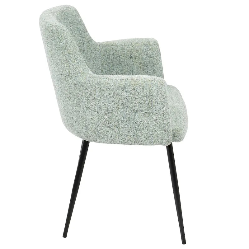 Modern-Style Dining Chairs & Accent Chairs (Set of 2)