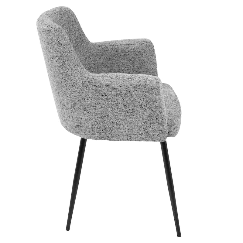 Modern-Style Dining Chairs & Accent Chairs (Set of 2)