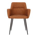 Modern-Style Dining Chairs & Accent Chairs (Set of 2)