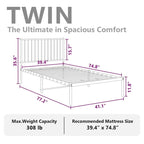 vidaXL Metal Bed Frame, No Mattress