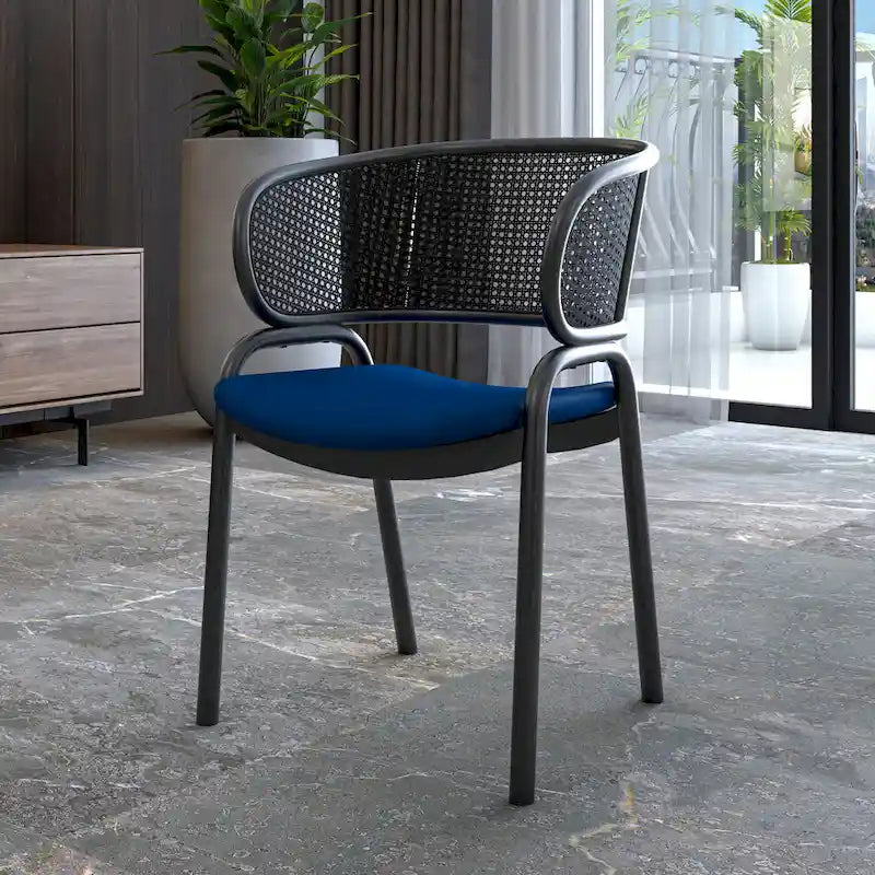 Ervilla Modern Upholstered Dining Chair with Cozy Armchair and Black Iron Legs for Dining Room Kitchen Patio