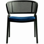 Ervilla Modern Upholstered Dining Chair with Cozy Armchair and Black Iron Legs for Dining Room Kitchen Patio
