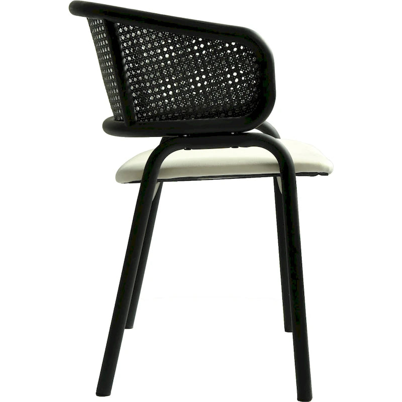 Ervilla Modern Upholstered Dining Chair with Cozy Armchair and Black Iron Legs for Dining Room Kitchen Patio